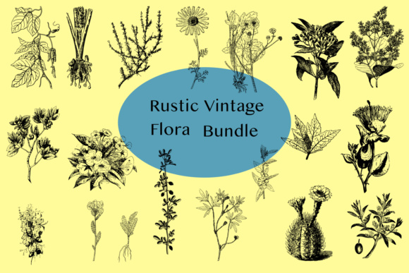 Assorted Antique Flora Design Elements