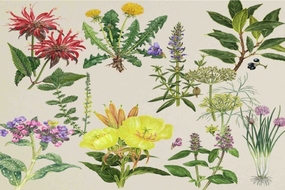 Evaluating Flower Clipart: When Vintage Rose Graphics Are the Right Design Choice