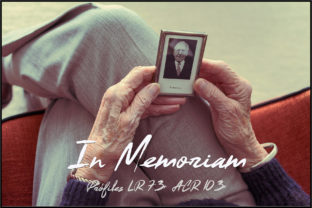 In Memoriam Profiles: Respectful Retouching Tools